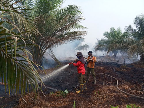 Sosok Kartini dari Manggala Agni